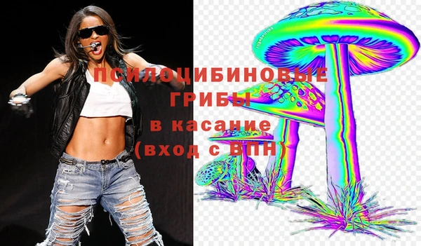 ECSTASY Гусев