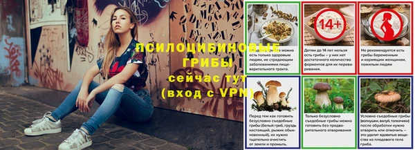 МДПВ Богородицк