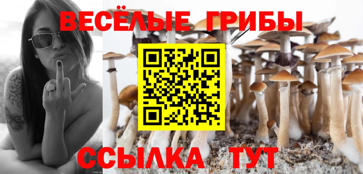 Галлюциногенные грибы Psilocybe  Вход с VPN  Бугульма 