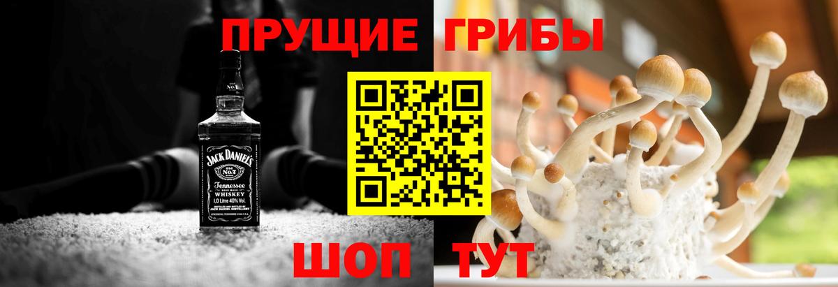 Псилоцибиновые грибы мухоморы Бугульма